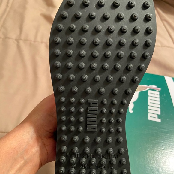 Pumas - Picture 4 of 5